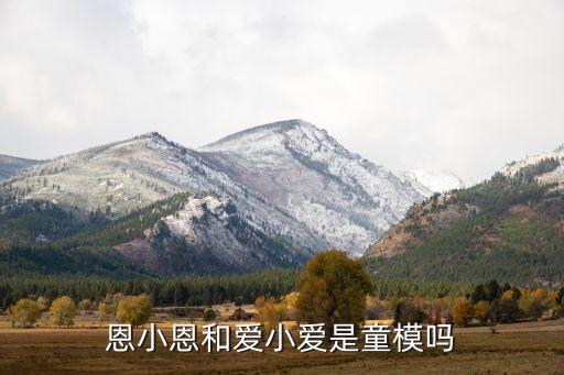 恩小恩和愛小愛是童模嗎