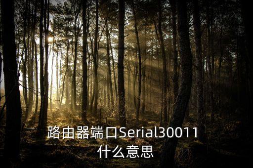 路由器端口Serial30011 什么意思
