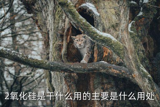 氧化硅的用途，氧化硅有什么用途