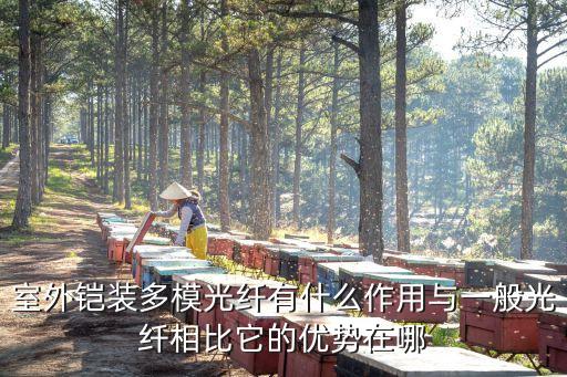 室外鎧裝多模光纖有什么作用與一般光纖相比它的優(yōu)勢在哪