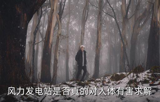 風(fēng)力發(fā)電站是否真的對人體有害求解