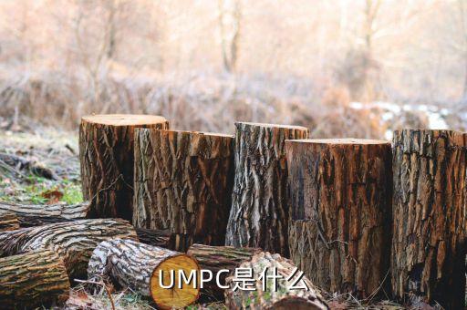 umpc，UMPC是什么意思啊