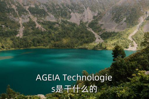 AGEIA Technologies是干什么的