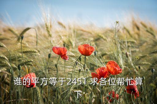 誰的平方等于2451 求各位幫忙算下
