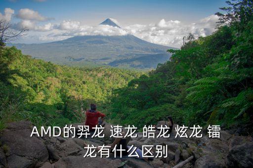 AMD的羿龍 速龍 皓龍 炫龍 鐳龍有什么區(qū)別
