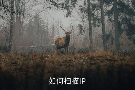 在線端口掃描，端口掃描器 免費(fèi)的