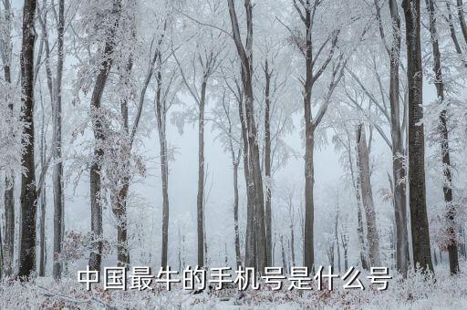 中國(guó)最牛的手機(jī)號(hào)是什么號(hào)