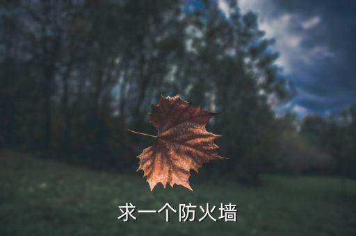 開源防火墻，求一個(gè)防火墻