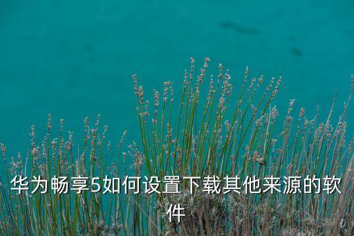 華為設(shè)置下載，華為mate20手機(jī)設(shè)置下載第三方的軟件是在那點(diǎn)