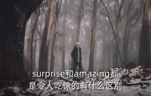 surprise和amazing都是令人吃驚的有什么區(qū)別