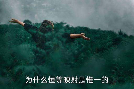 為什么恒等映射是惟一的