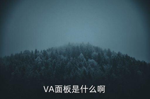 VA面板，VA面板是什么啊