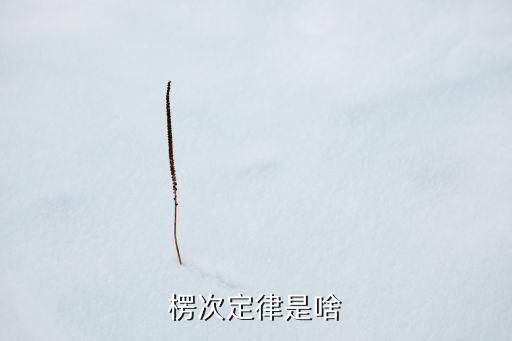 愣次定律，什么是楞次定律