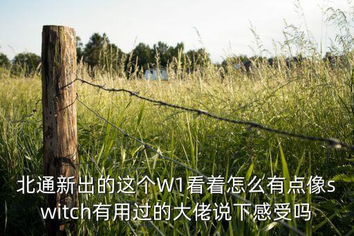 北通新出的這個W1看著怎么有點像switch有用過的大佬說下感受嗎