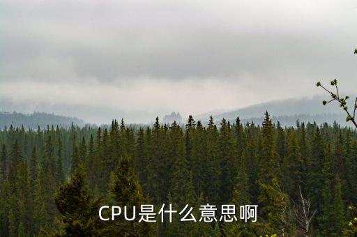 CPU是什么意思啊