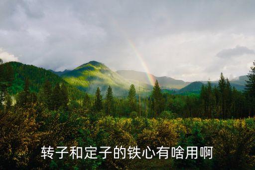 轉(zhuǎn)子和定子的鐵心有啥用啊