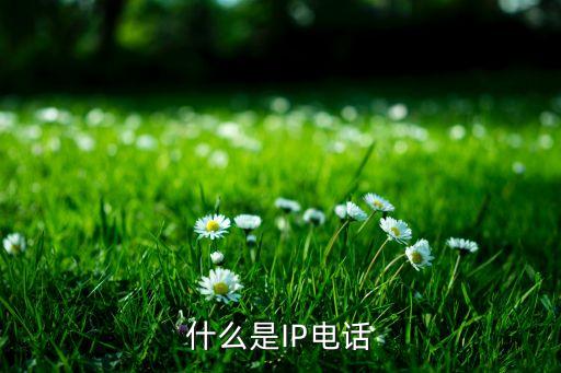 ip網(wǎng)絡(luò)電話，什么是IP電話