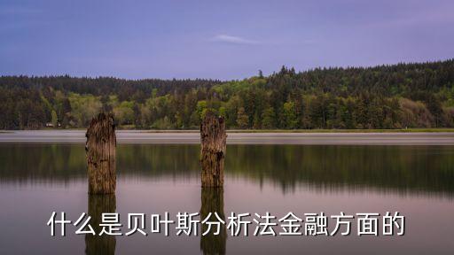 什么是貝葉斯分析法金融方面的