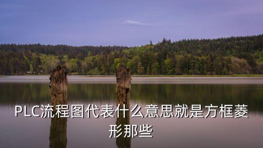 PLC流程圖代表什么意思就是方框菱形那些