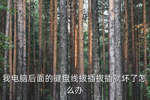 我電腦后面的鍵盤線拔插拔插就壞了怎么辦