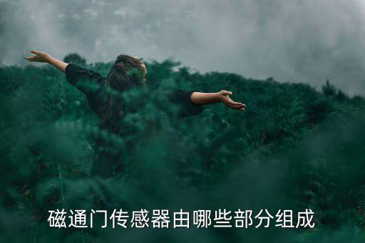 磁通門，什么是磁通門傳感器干什么用的