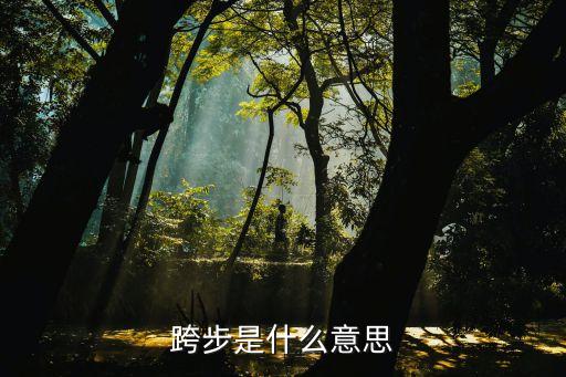 跨步是什么意思