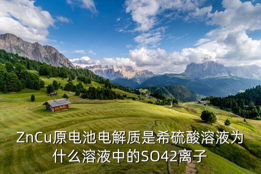 水系鋅離子電池，ZnCuH2SO4原電池寫出反映現(xiàn)象電極反應(yīng)式判斷電子電流