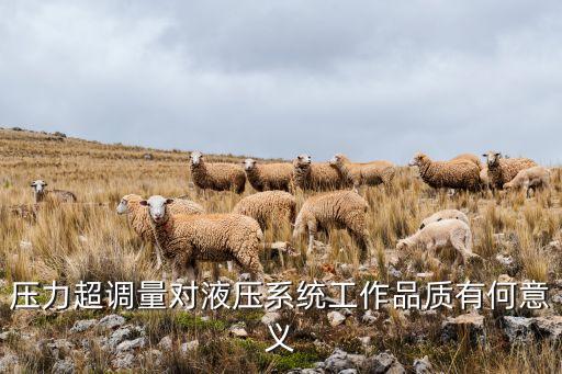 壓力超調(diào)量對液壓系統(tǒng)工作品質(zhì)有何意義