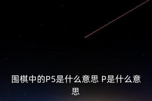 圍棋中的P5是什么意思 P是什么意思