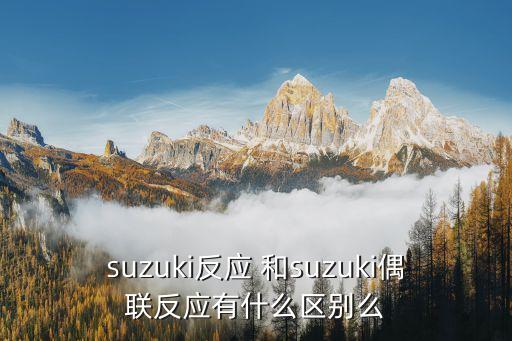 suzuki反應(yīng) 和suzuki偶聯(lián)反應(yīng)有什么區(qū)別么