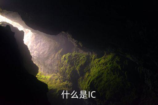 什么是IC