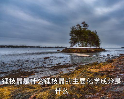 鋰枝晶是什么鋰枝晶的主要化學成分是什么