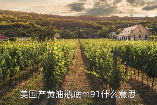 美國產(chǎn)黃油瓶底m91什么意思