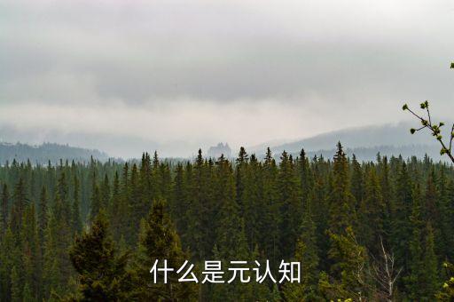 什么是元認知