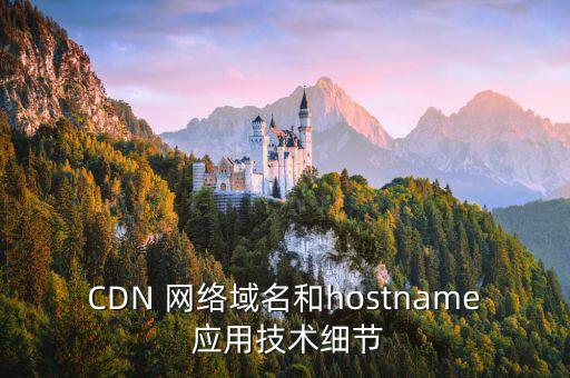 CDN 網(wǎng)絡(luò)域名和hostname 應(yīng)用技術(shù)細(xì)節(jié)