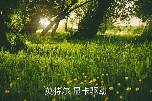英特爾 顯卡驅(qū)動