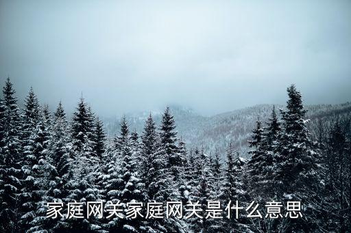 家庭網(wǎng)關家庭網(wǎng)關是什么意思