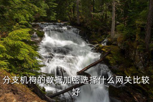 分支機(jī)構(gòu)的數(shù)據(jù)加密選擇什么網(wǎng)關(guān)比較好