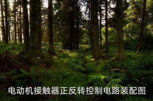 電動機(jī)接觸器正反轉(zhuǎn)控制電路裝配圖