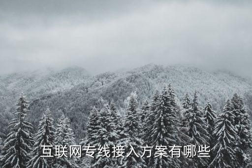 互聯(lián)網(wǎng)專線接入方案有哪些