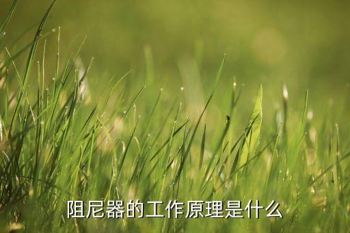阻尼器圖片，阻尼器的工作原理是什么