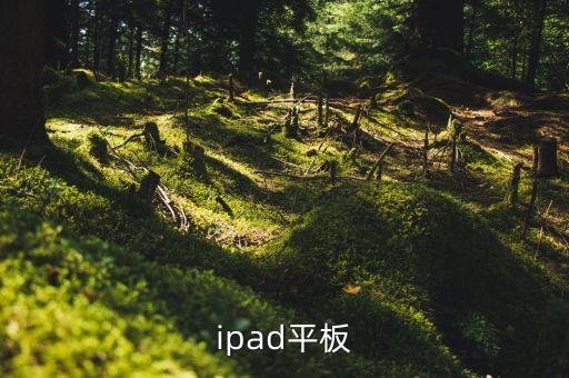 平板電腦ipad，ipad平板