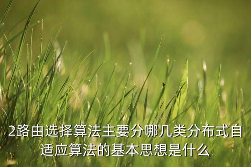 2路由選擇算法主要分哪幾類分布式自適應(yīng)算法的基本思想是什么
