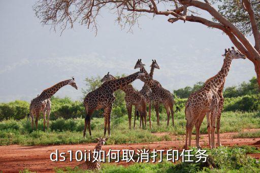 ds10ii如何取消打印任務(wù)
