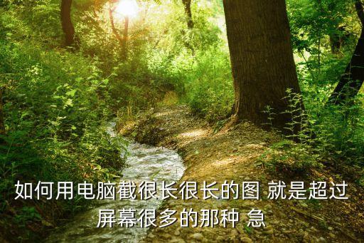 如何用電腦截很長很長的圖 就是超過屏幕很多的那種 急