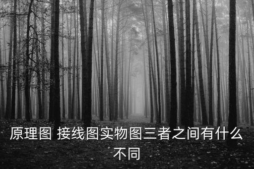 原理圖 接線圖實物圖三者之間有什么不同