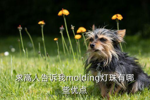 求高人告訴我molding燈珠有哪些優(yōu)點(diǎn)