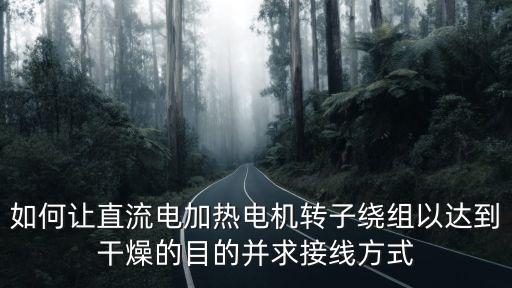 如何讓直流電加熱電機轉子繞組以達到干燥的目的并求接線方式