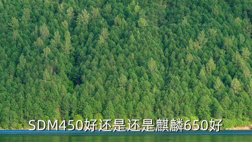 sdm450，SDM450好還是還是麒麟650好