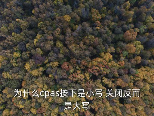 為什么cpas按下是小寫 關(guān)閉反而是大寫